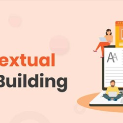 Guest Posting & Contextual Link Building Services