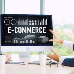 Professional eCommerce Website Development Service