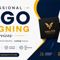 Professional Logo Designing Services
