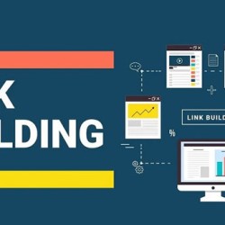 High DA Profile Link Creation Service for SEO
