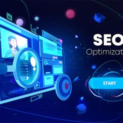 Monthly Professional Link Building Services for Hi