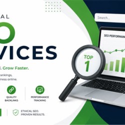 Professional SEO Services to Boost Google Rankings