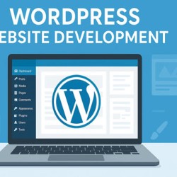 Professional WordPress Website Development Service